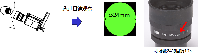視場(chǎng)數(shù).png